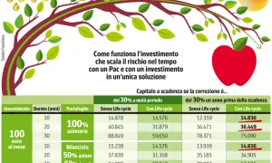 Albero finanziario con mele rosse e gocce d'oro, che illustra come un investimento scalabile eviti una bolla finanziaria.
