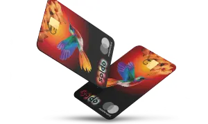 Due carte Soldo Mastercard con colibrì e fiori. L'amministratore può usarle per spese personali, ma attenzione all'utilizzo della carta di credito aziendale.