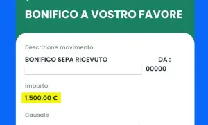 Dettagli di un bonifico SEPA ricevuto di 1.500€. Utile per capire come si scrive correttamente il codice IBAN.