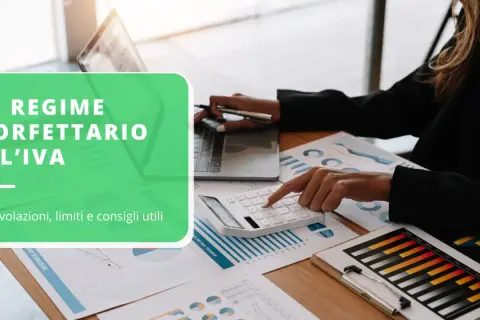 Analisi del regime forfettario e dell'IVA con calcolatrice e grafici. Agevolazioni, limiti e consigli utili per la gestione.