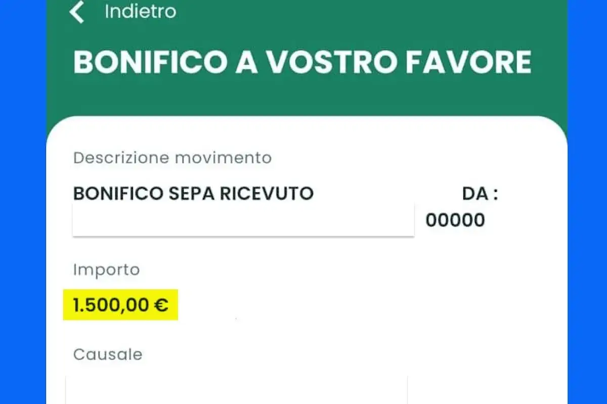 Dettagli di un bonifico SEPA ricevuto di 1.500,00 €. Potrebbe esserci un problema con i bonifici.